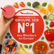 Moulinex PerfectMix+ LM81GD10 Blender  2L 1200W