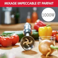 Moulinex Mixeur Plongeur 4-en-1 DD65H810 1000 W