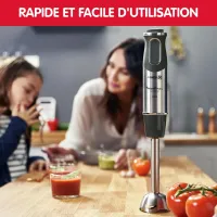 Moulinex Mixeur Plongeur 4-en-1 DD65H810 1000 W