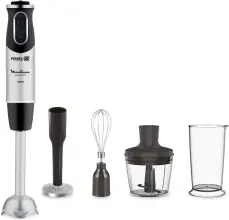 Moulinex Mixeur Plongeur 4-en-1 DD65H810 1000 W