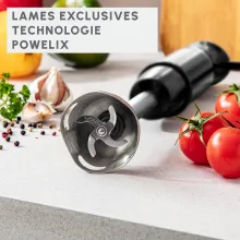 Moulinex bras mixer coffret 1000W DD641810